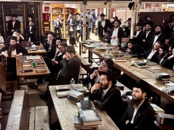 הגלריה השבועית - שבוע פרשת חוקת בלק ב-770